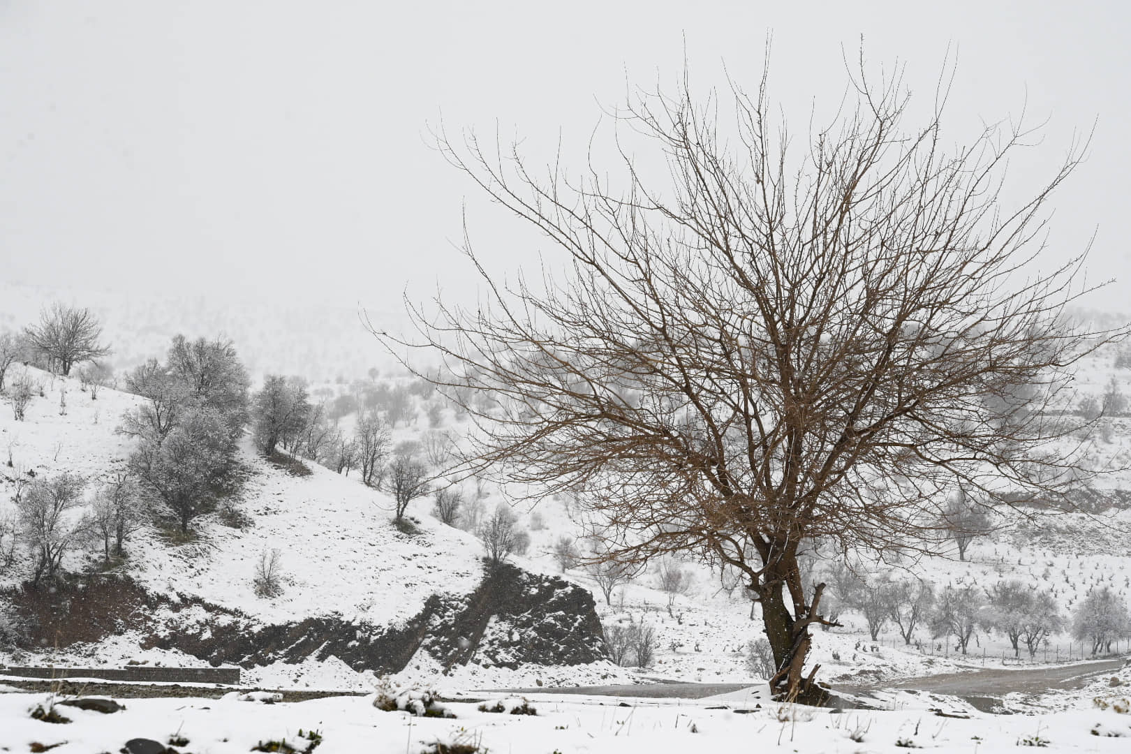 كثافة الثلوج تعطل حركة السير في مناطق بإقليم كوردستان