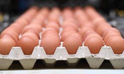 برلماني: شحنة بيض مائدة منتهية الصلاحية تُباع في السليمانية