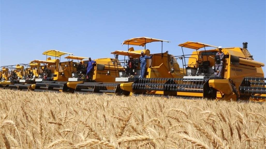 الزراعة: اقليم كوردستان طلب تسليمنا أكثر من مليوني طن من الحنطة