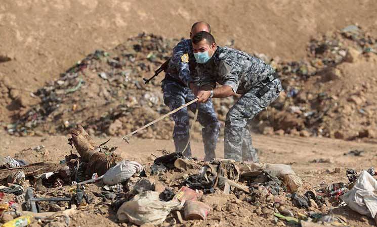 جبهة النجيفي: العثور على مقبرة جماعية بمنطقة في الفلوجة لم تكن تحت سيطرة القاعدة أو داعش