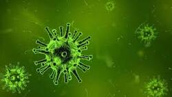 جمعية عراقية تبتكر عدة تشخص فيروس كورونا في غضون 3 ساعات