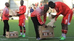 هداف كرة أفريقي يتلقى "دجاجة" تقديرا لأدائه