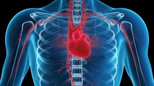 السليمانية تنشر احصائية للمتوفين بمرض القلب خلال الربع الاول من هذا العام