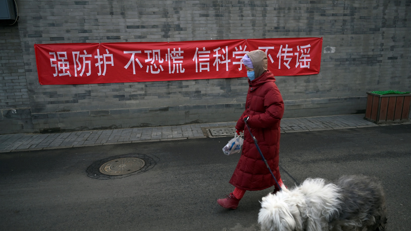 في قرار استثنائي.. الصين تعد الكلاب "حيوانات رفيقة" ليست للطعام