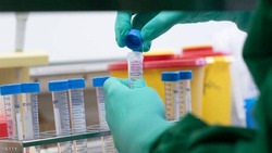 The United States announces the date of "Corona treatment" emergence