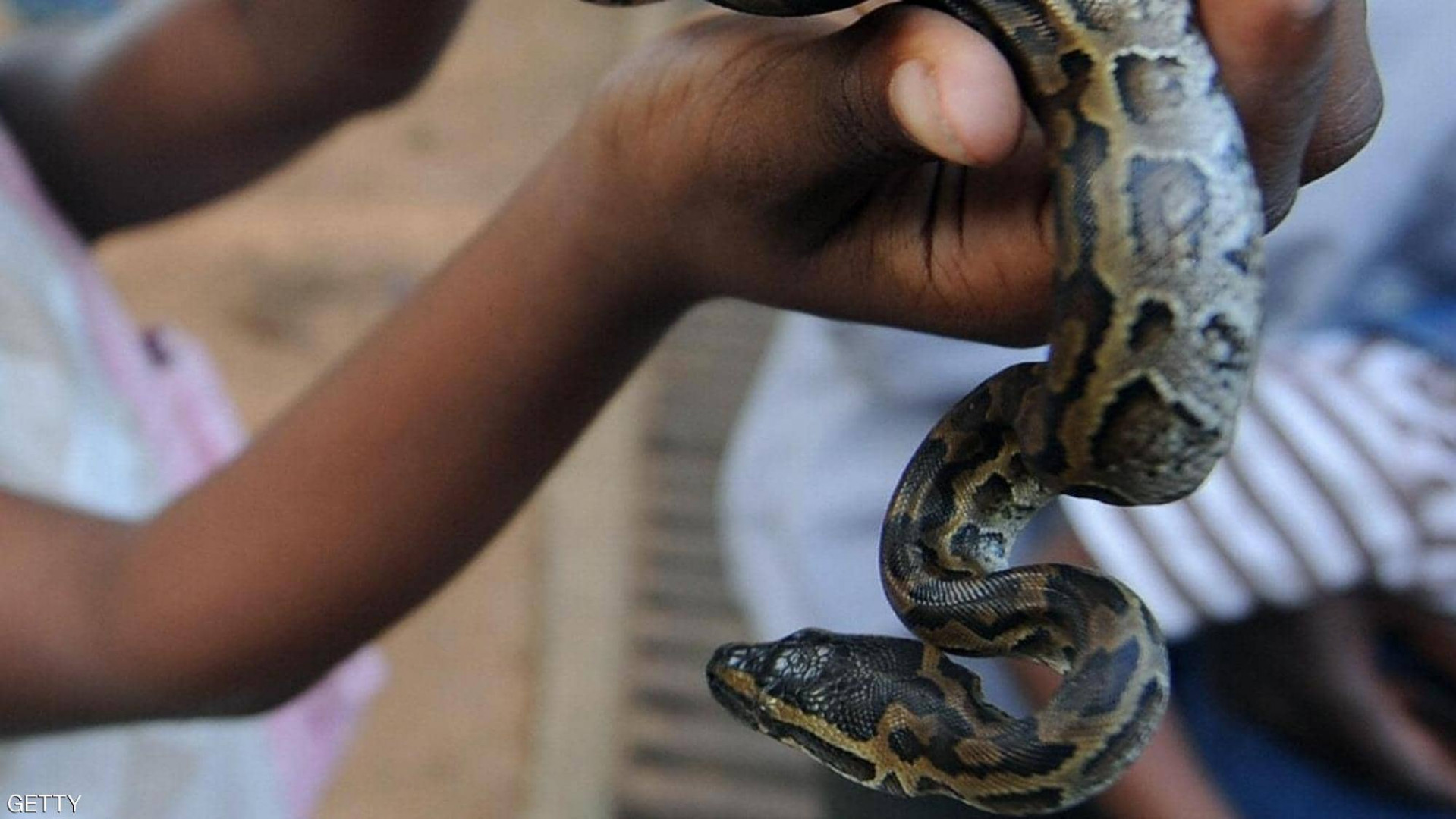 A Snake crawled into a Russian woman’s mouth while she slept