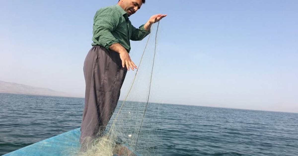 اقليم كوردستان يغطي 60% من حاجة السوق المحلية من الأسماك ويتحرك لتعليبها