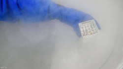 اكتشاف حيوانات منوية عمرها 100 مليون سنة