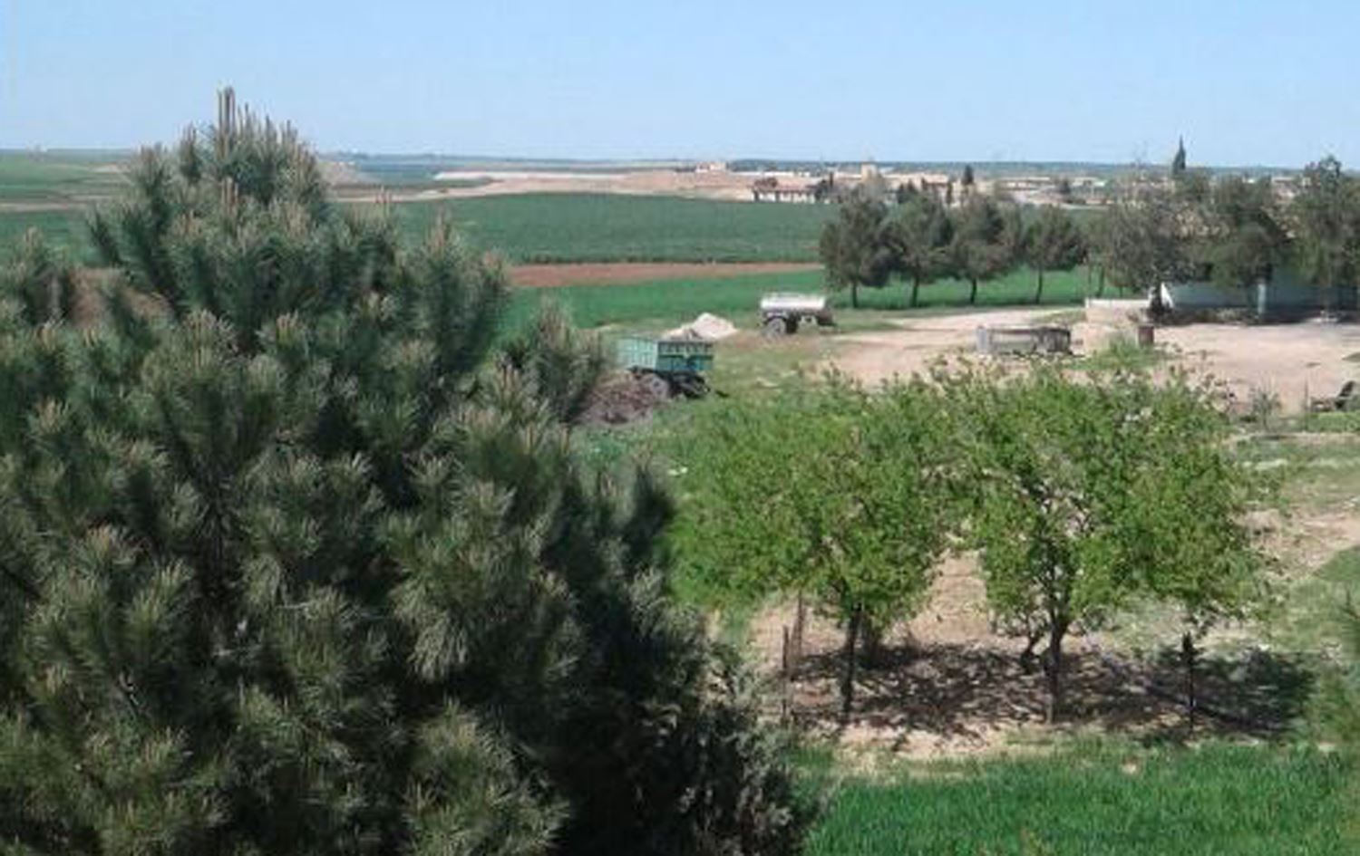 الزراعة الكوردستانية تعلن تفاصيل جديدة عن حادثة احراق الصنوبر