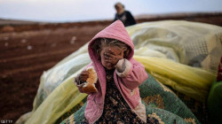 Save the children: 700,000 children in Syria risk hunger