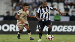 Erbil club signs two foreign players
