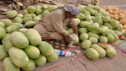 العراق يحظر إستيراد محصولين لوفرتهما محليا