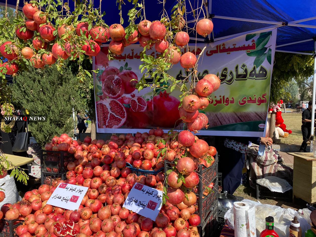 Halabja exports 22 tons of pomegranate to the UK