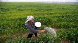 بغداد بصدد إعداد "روزنامة زراعية موحدة" لتبادل المحاصيل مع كوردستان
