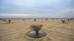 الحكومة العراقية ترفض إستثمار المياه الجوفية في صحراء غرب الفرات
