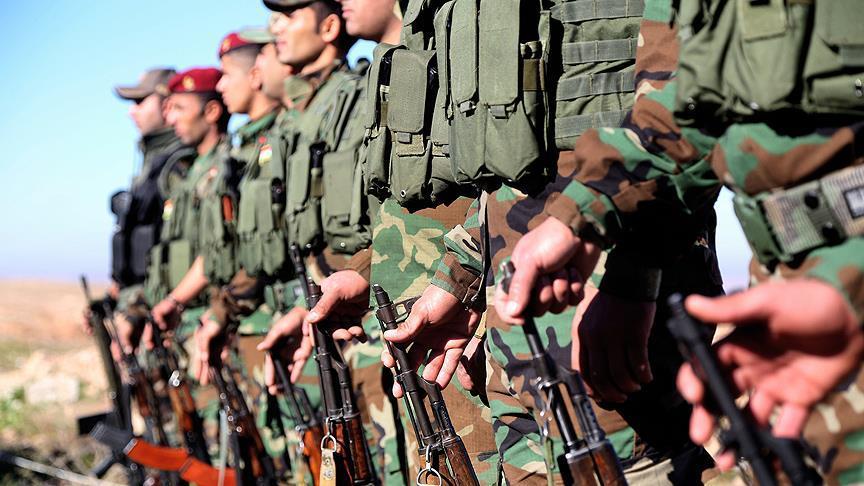 التحالف الدولي يسلح 14 لواءً من البيشمركة