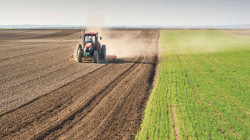 الزراعة: توقعاتنا بمساهمة الزراعة بالناتج القومي تتخطى نسبة وزارة التخطيط
