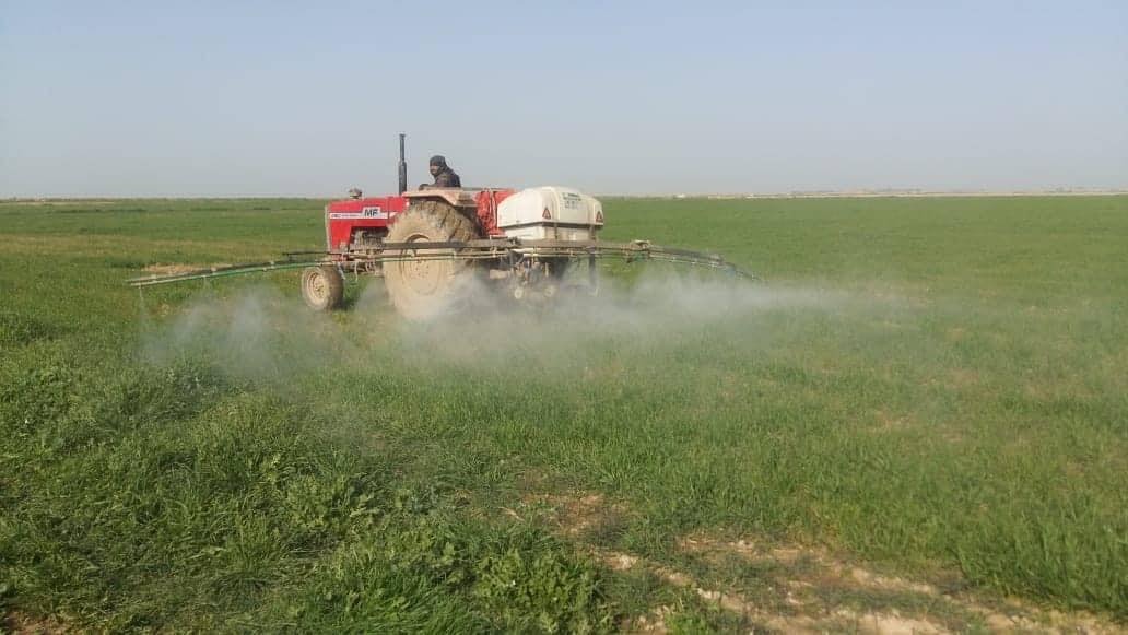 "نقص الامطار" يهدد الزراعة الديمية في محافظة عراقية 