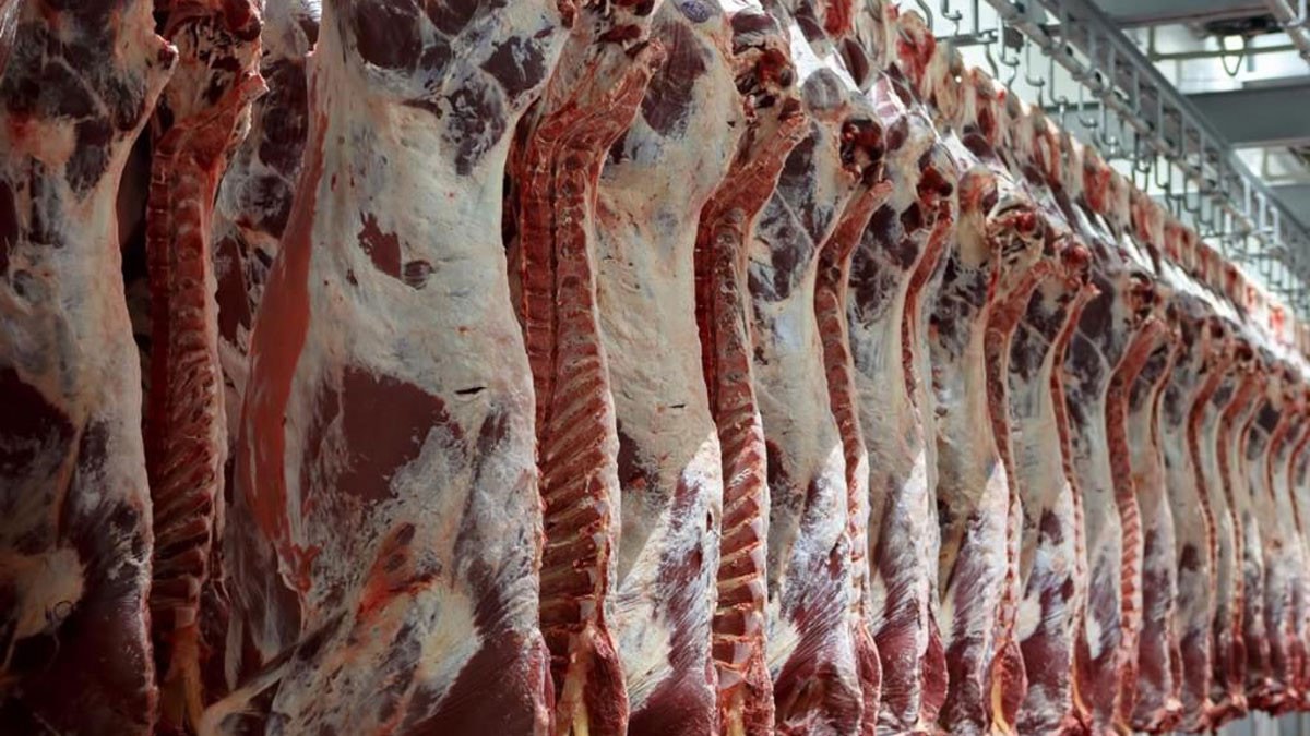 صلاح الدين تؤكد "انفرادها" بالسيطرة على أسعار اللحوم لأسباب حكومية وطبيعية