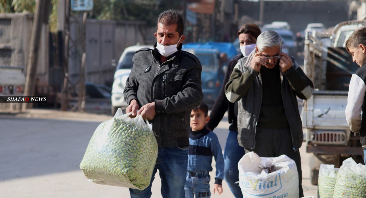 إرتفاع أسعار الزيتون للضعف يثقل كاهل السكان شرق سوريا