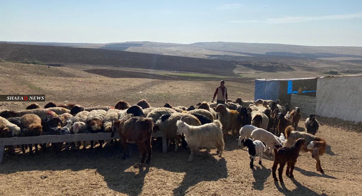 صور.. كورونا يضيق الخناق على النازحين السوريين في كوردستان