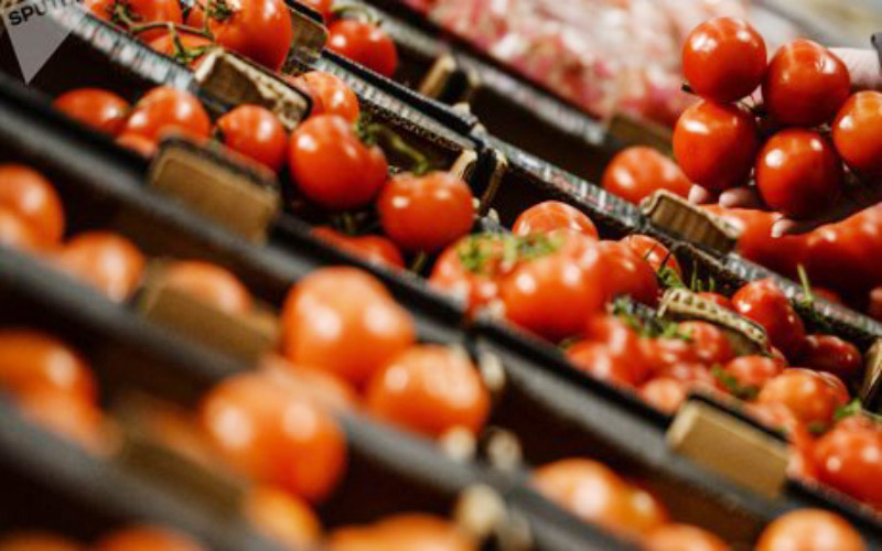 الزراعة تكشف حقيقة حظر دخول الطماطم من منفذ الشلامجة
