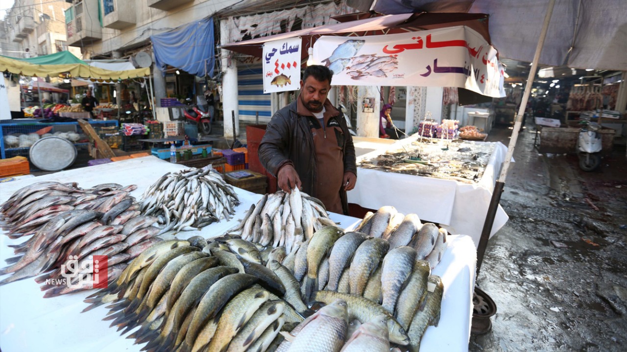 صور.. أسواق الأسماك تنتعش في بغداد