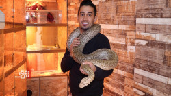 صور.. شاب كوردي هوايته المفضلة اقتناء أخطر المخلوقات