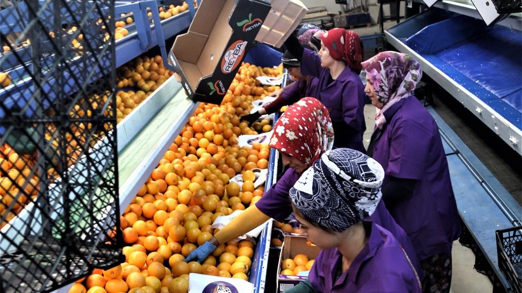 العراق ضمن البلدان الخمسة الأكثر استيرادا للخضر والفواكه من تركيا