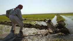 الموارد المائية: شح الأمطار لن تؤثر على الخطة الزراعية للموسم الشتوي الحالي