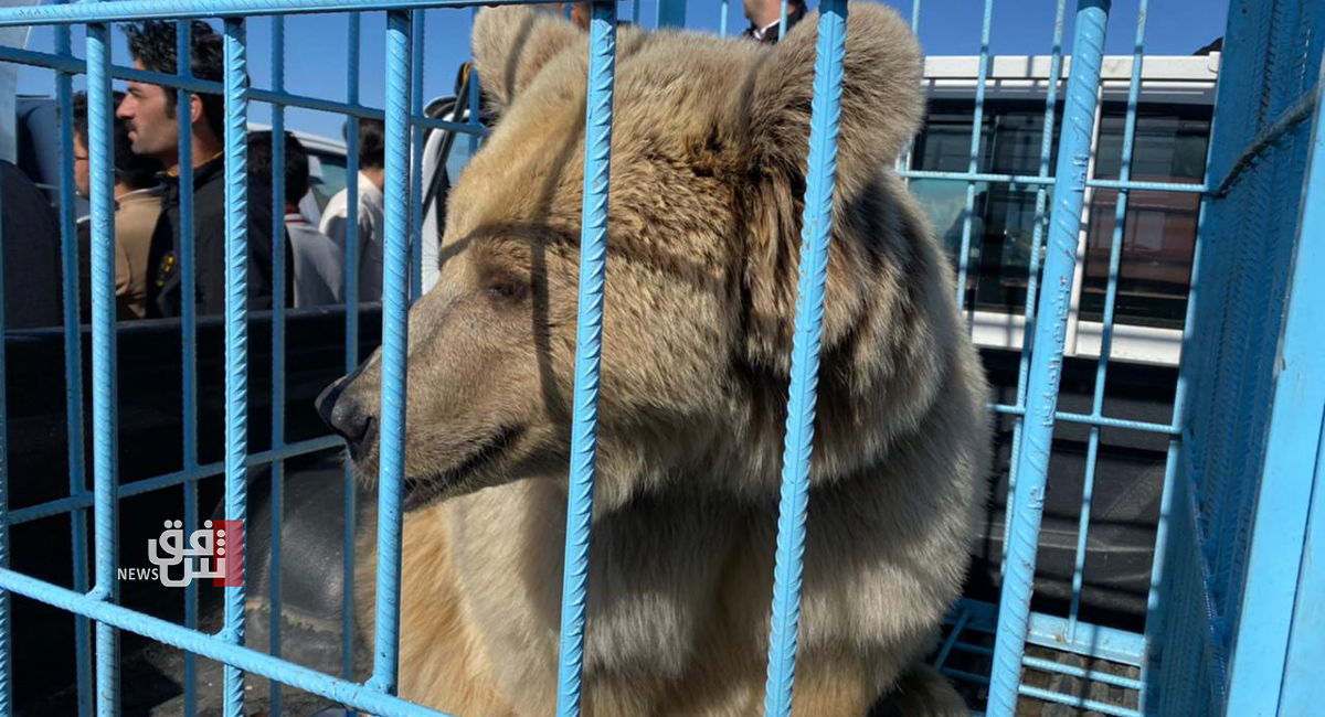 AKA releases six bears to the wild in Duhok
