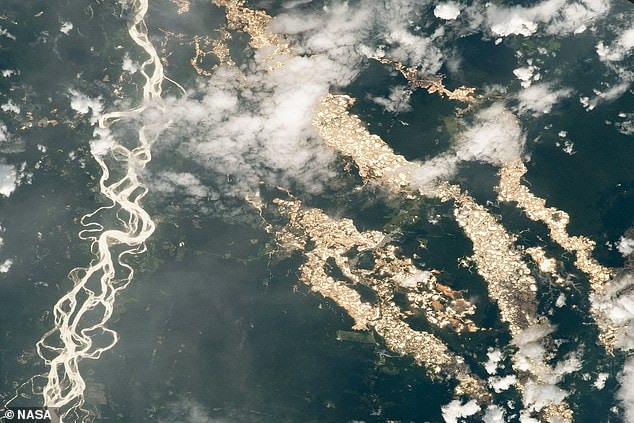 ناسا تكشف أنهاراً من الذهب في الأمازون