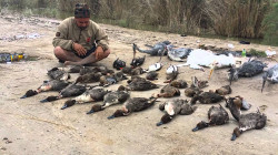 Al-Anbar operations command bans hunting trips in the governorate's desert