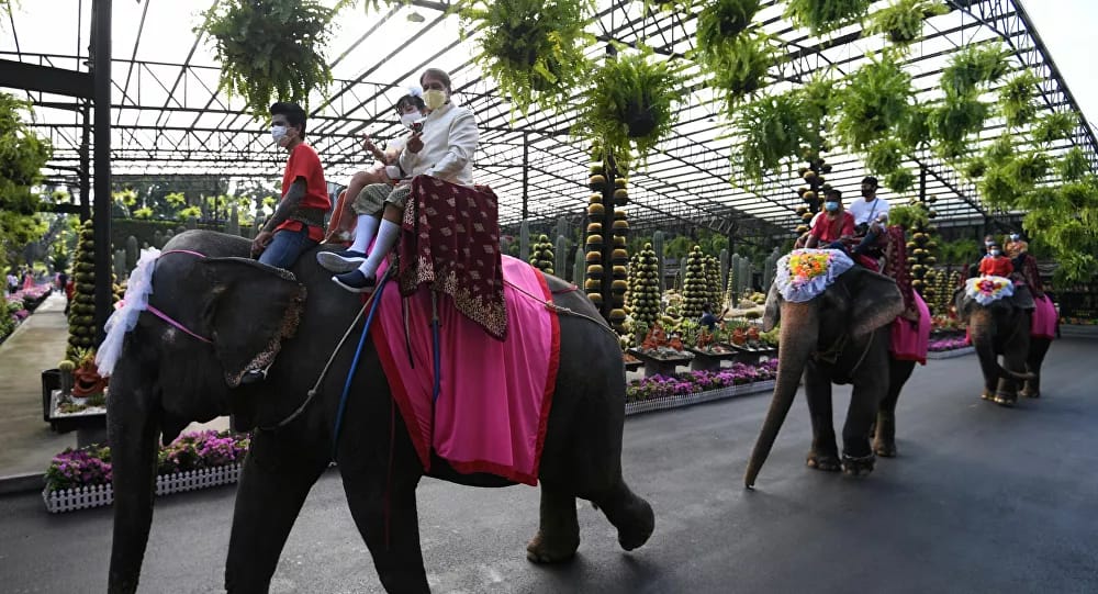 بمناسبة عيد الحب.. زفاف جماعي على ظهور الأفيال في تايلاند.. صور