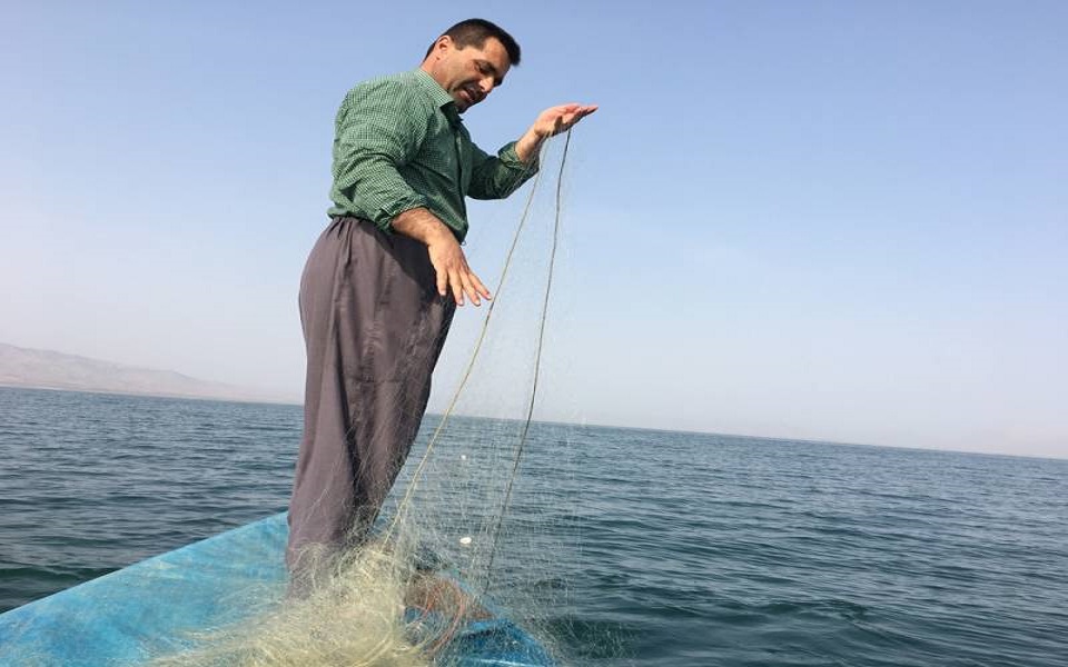إقليم كوردستان يحظر صيد الأسماك واستيراد نوع منها