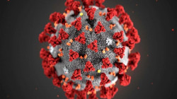England investigating new coronavirus variant linked to Antigua travel