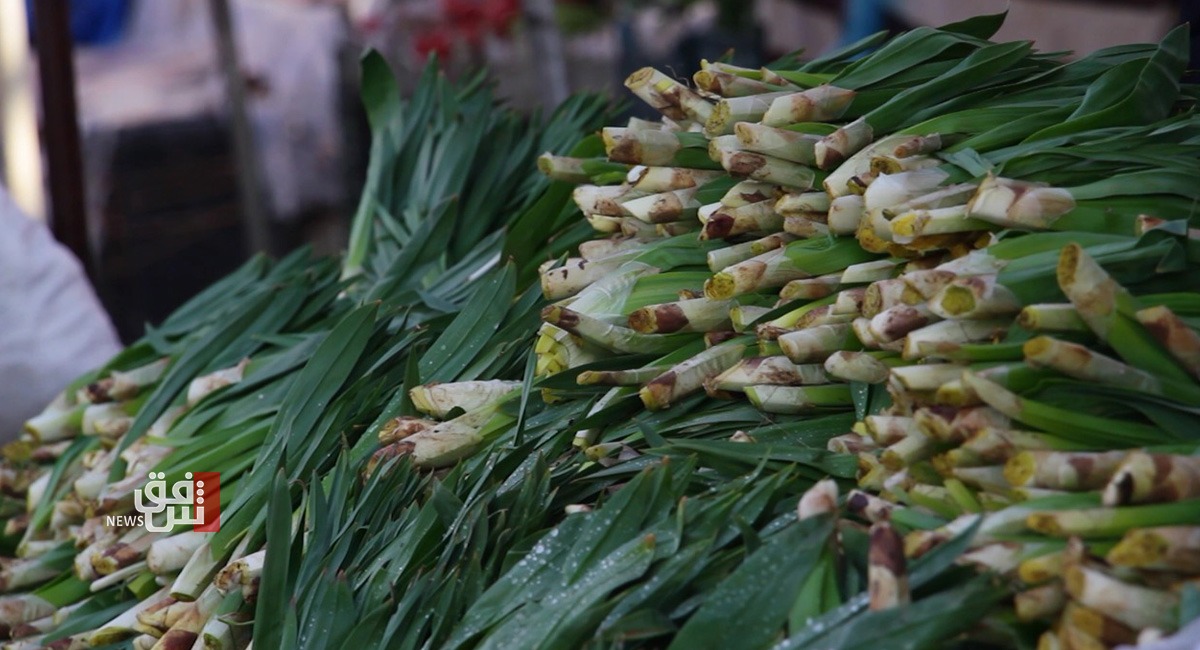 تستخدم للغذاء والدواء.. ازدهار سوق بيع الأعشاب في العمادية  (صور)