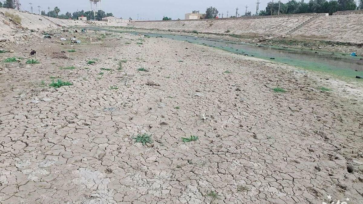 الجفاف يهدد 3500 بستان في العراق بالهلاك