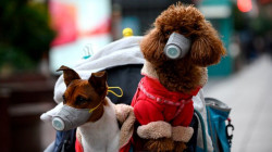 Latest on the worldwide spread of coronavirus