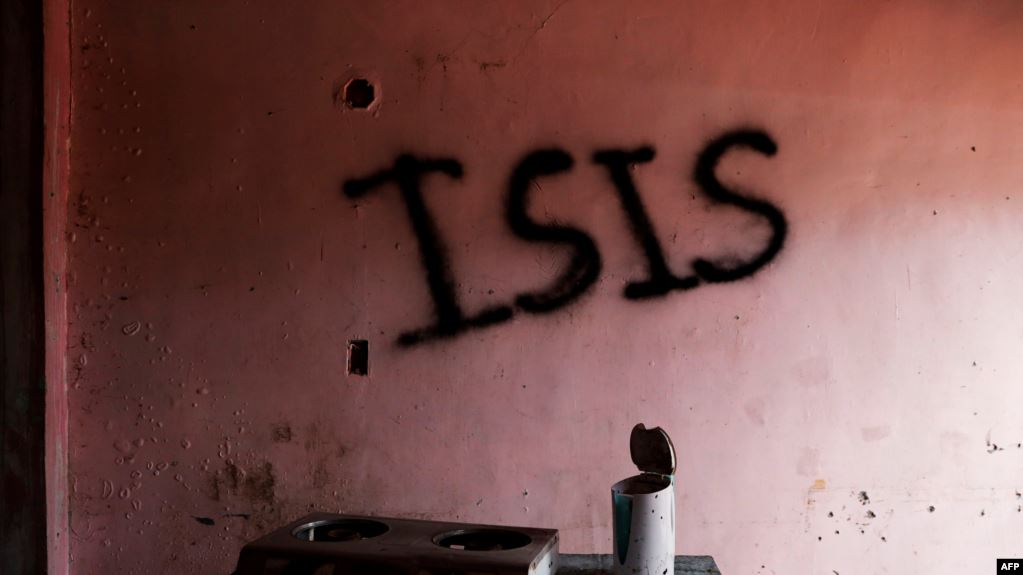 German spy chief warns of Islamic State's strength