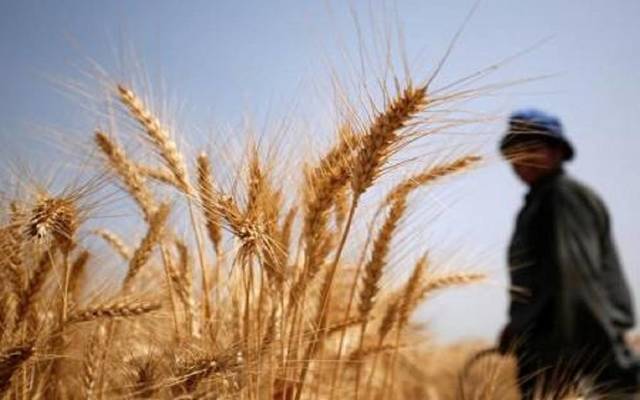 AANES prohibits trading and monopolizing wheat 