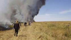 ISIS burns more than ten dunams of wheat in Diyala