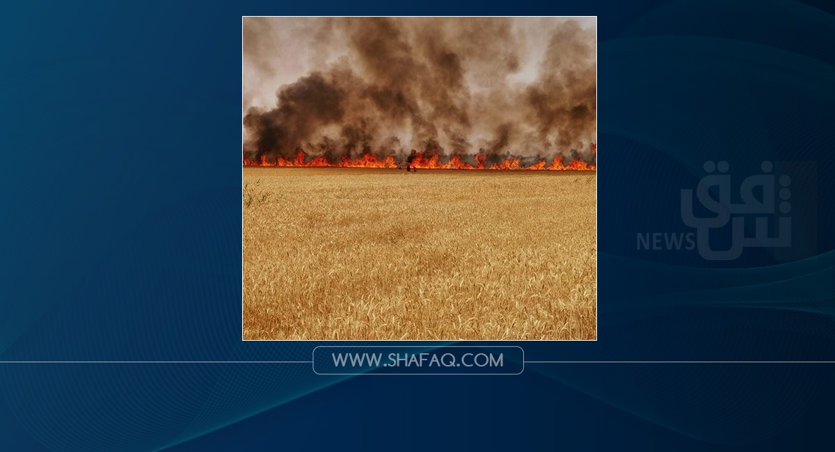 Blazes swept 65 dunums of wheat fields in two Iraqi governorates
