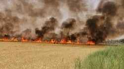 النيران تواصل التهام الحنطة.. خسارة 50 مليون دينار بحريق في النجف 