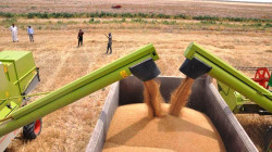صلاح الدين تتوقع إنتاج نحو 600 ألف طن من الحنطة وتطالب بزيادة مراكز التسويق