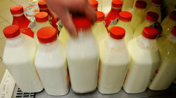 Iraq is Turkey's second-biggest importer of dairy products