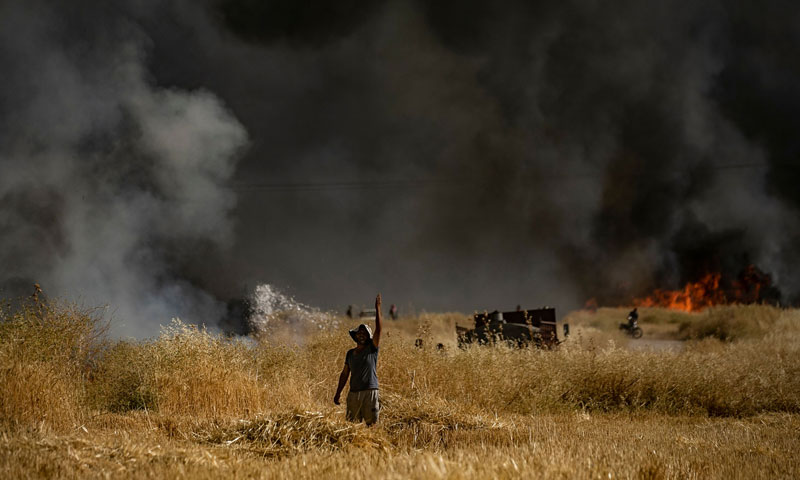 Hundreds of dunums of wheat saved from fire, monitoring patrols to avoid recurrence 