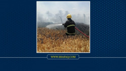 تسرب وتماس.. القصة الكاملة لحريق حقول الحنطة في الأنبار (صور)