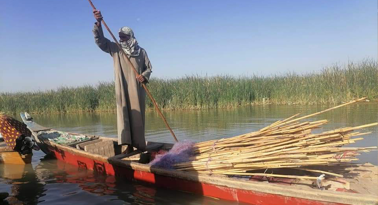 منظمة مدنية تحذر من "كارثة بيئية" في الأهوار العراقية