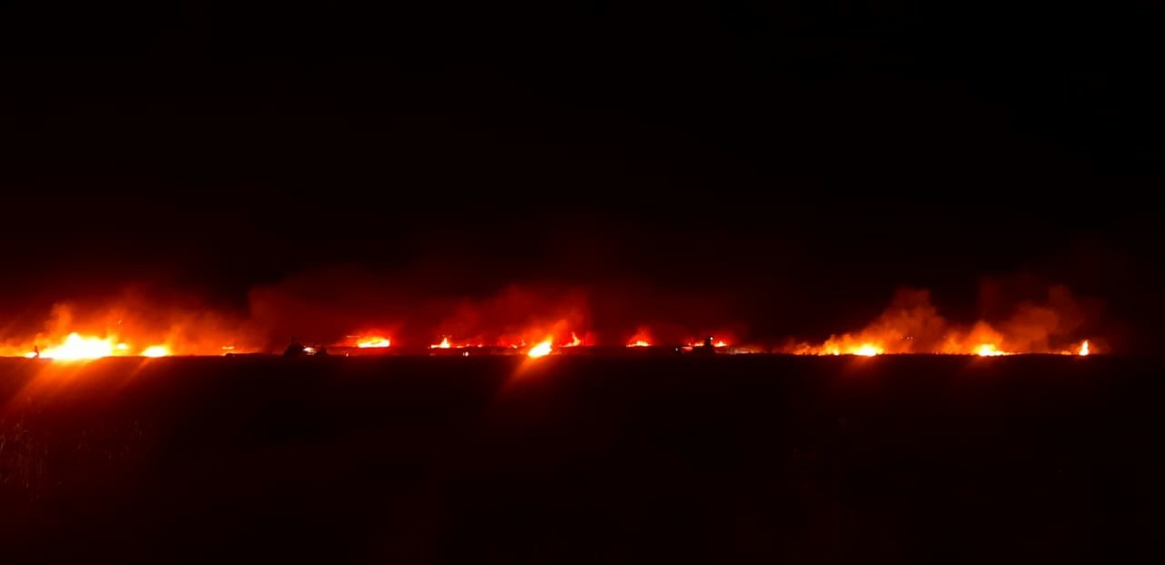 إنقاذ أكثر من 200 دونم من الحنطة من السنة النيران شرقي صلاح الدين